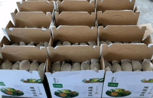 三个赚钱的副业项目，几乎人人可以做！